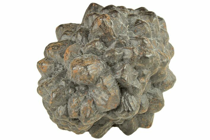 Goethite (Limonite) Pseudomorph after Pyrite/Marcasite - Egypt #257315